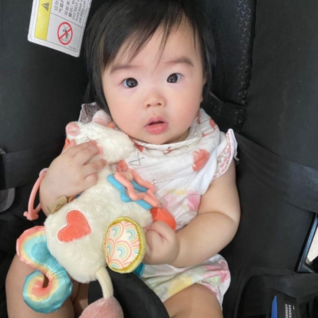 Unicorn Link & Love™ Activity Plush w/Teether Toy
