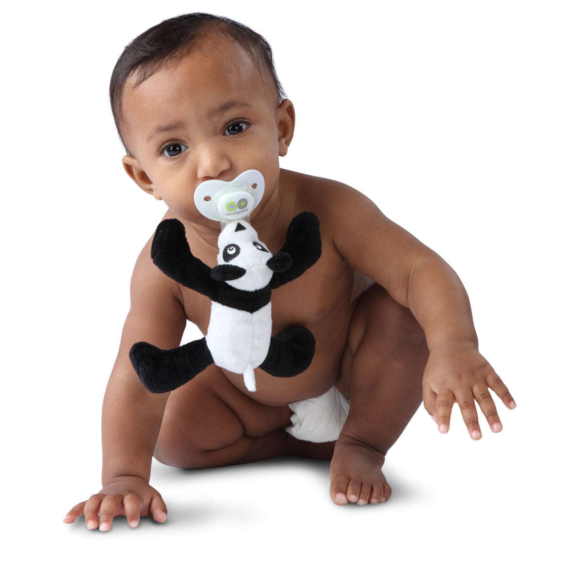 Paci-Plushies Buddies - Paisley Panda