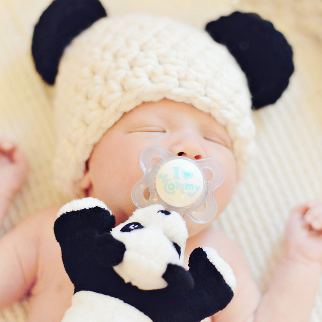 Paci-Plushies Buddies - Paisley Panda