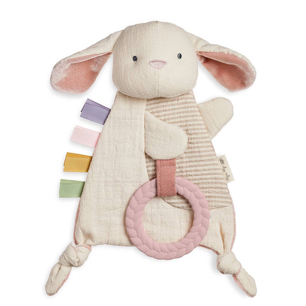 Koala Bitzy Crinkle™ Sensory Toy w/Teether